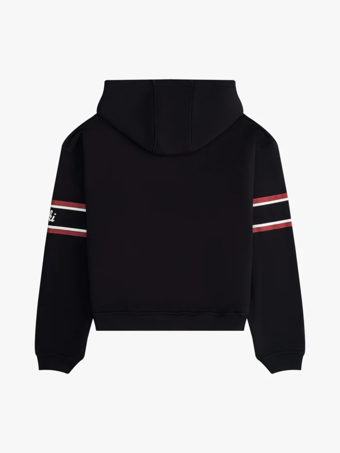 ASPEN SKI CREST HOODIE